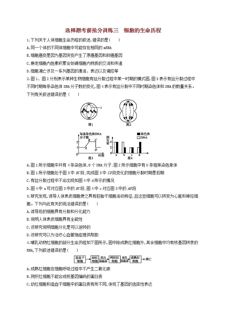 高考生物二轮复习选择题考前抢分训练03《细胞的生命历程》(含详解)01
