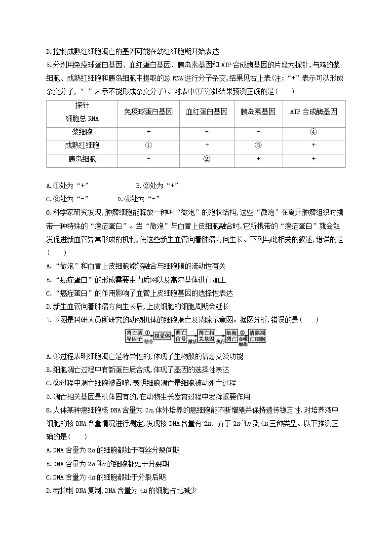 高考生物二轮复习选择题考前抢分训练03《细胞的生命历程》(含详解)02