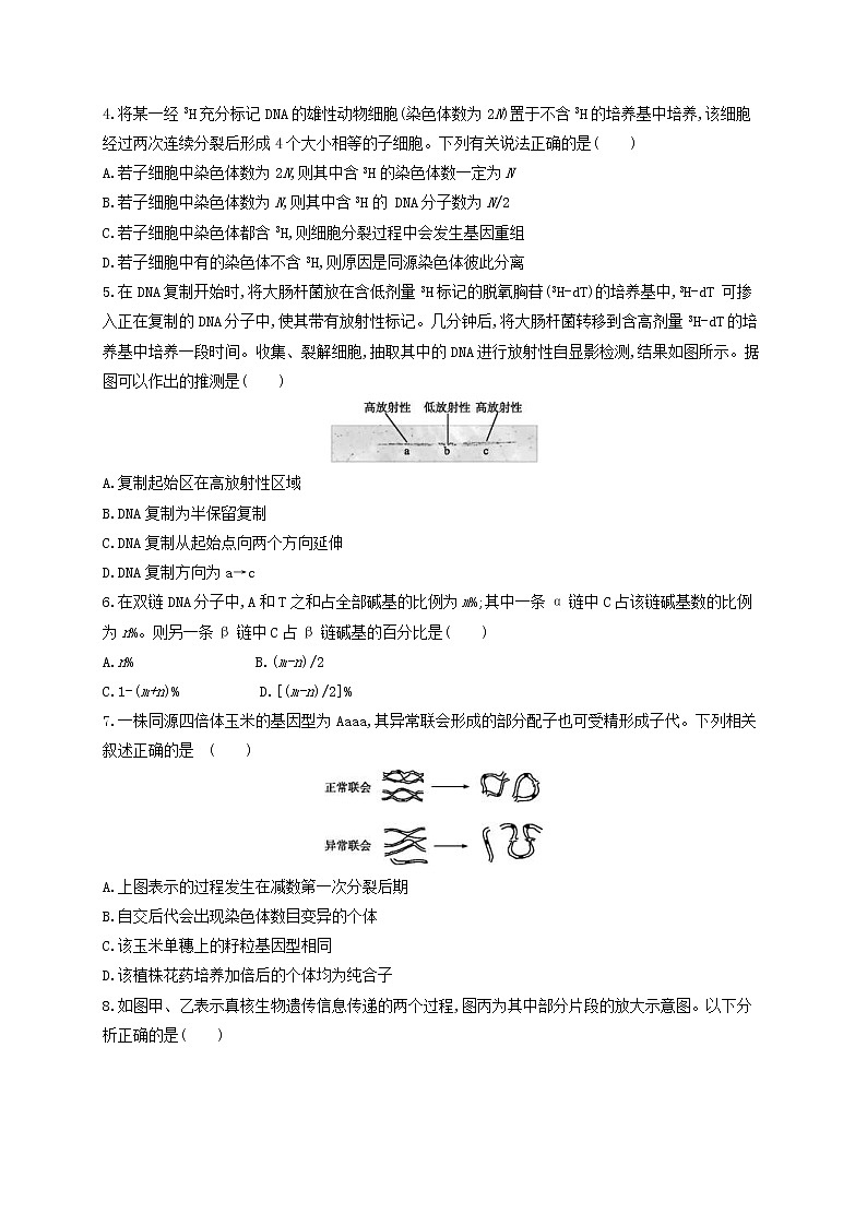 高考生物二轮复习选择题考前抢分训练04《遗传的细胞基础与分子基础》(含详解)第2页