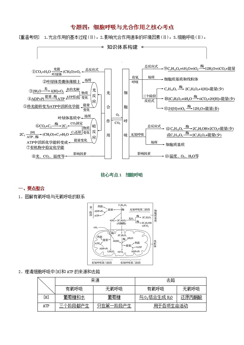 高考生物二轮复习核心考点冲刺专题04《细胞呼吸与光合作用》(含详解)01
