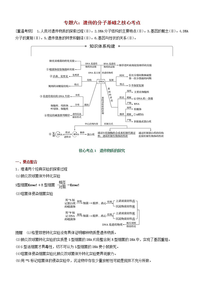 高考生物二轮复习核心考点冲刺专题06《遗传的分子基础》(含详解)01