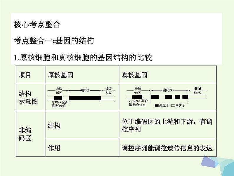 高考生物三轮考前重点突破:专题二基因结构与基因工程(含答案)课件PPT02