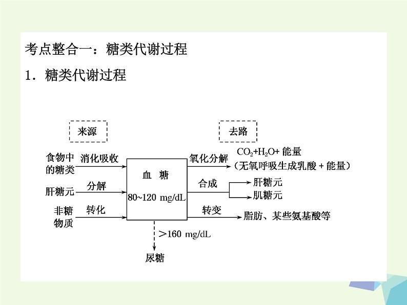 高考生物三轮考前重点突破:专题三动物代谢与新陈代谢类型(含答案)课件PPT第2页