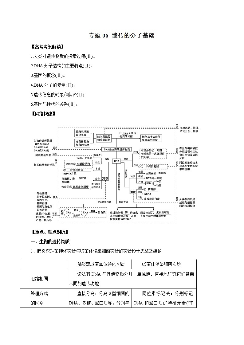 高考生物提分秘籍:专题06《遗传的分子基础》教学案(含答案)教案第1页