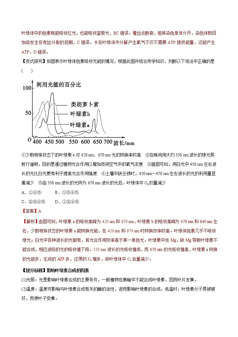 高考生物提分秘籍:专题11《能量之源——光与光合作用》教学案(含答案)教案第2页