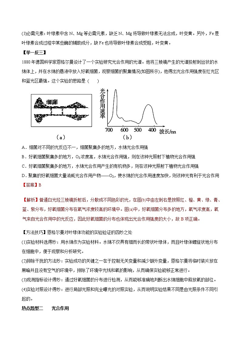 高考生物提分秘籍:专题11《能量之源——光与光合作用》教学案(含答案)教案第3页