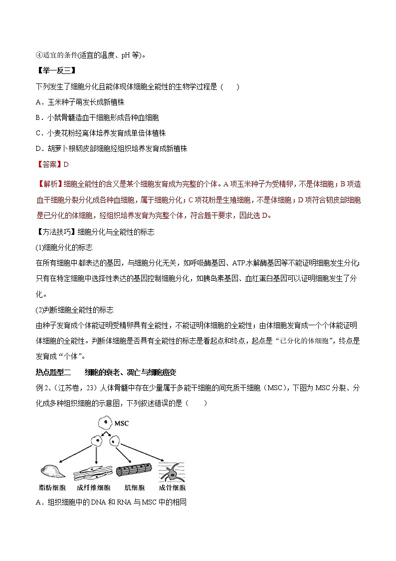高考生物提分秘籍：專題13《細胞的分化、衰老、凋亡及癌變》教學(xué)案（含答案）教案第2頁