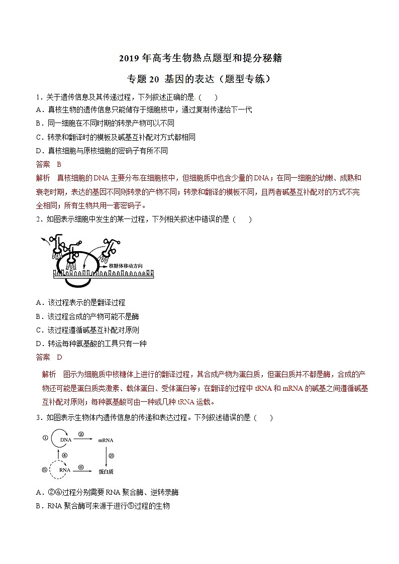 高考生物提分秘籍:专题20《基因的表达》热点难点突破(含答案)第1页