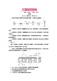 高考生物一轮复习专题训练：专题6《光合作用》（含详解）