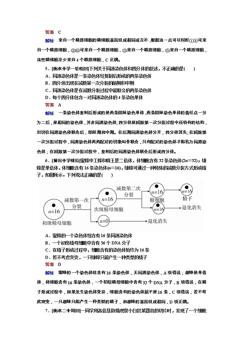 高考生物一轮复习专题训练:专题9《遗传的细胞基础》(含详解)第3页
