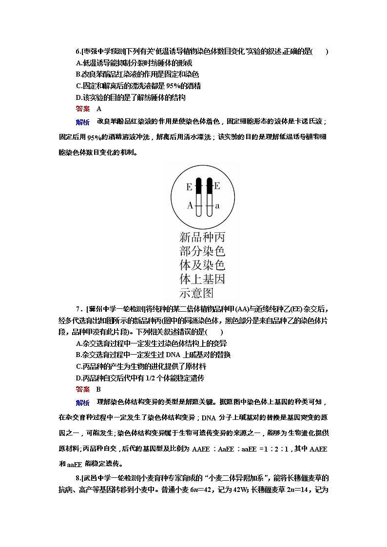 高考生物一轮复习专题训练:专题15《染色体变异与育种》(含详解)第3页