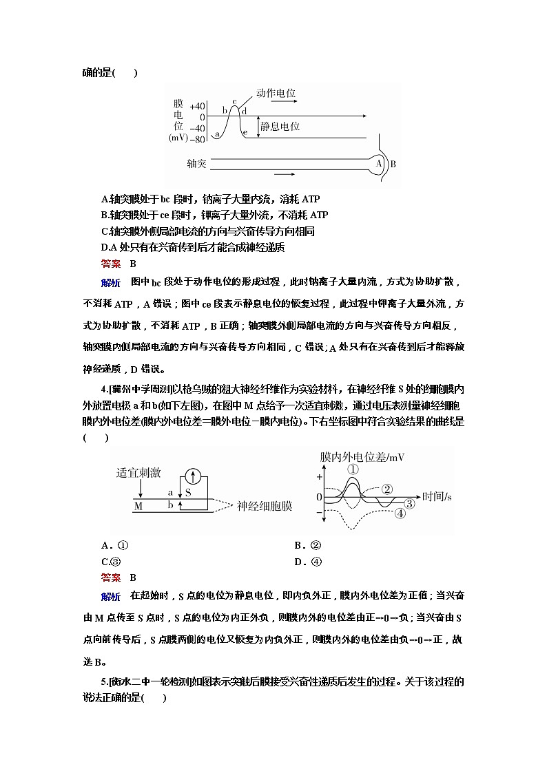 高考生物一轮复习专题训练:专题18《人和高等动物的神经调节》(含详解)第2页