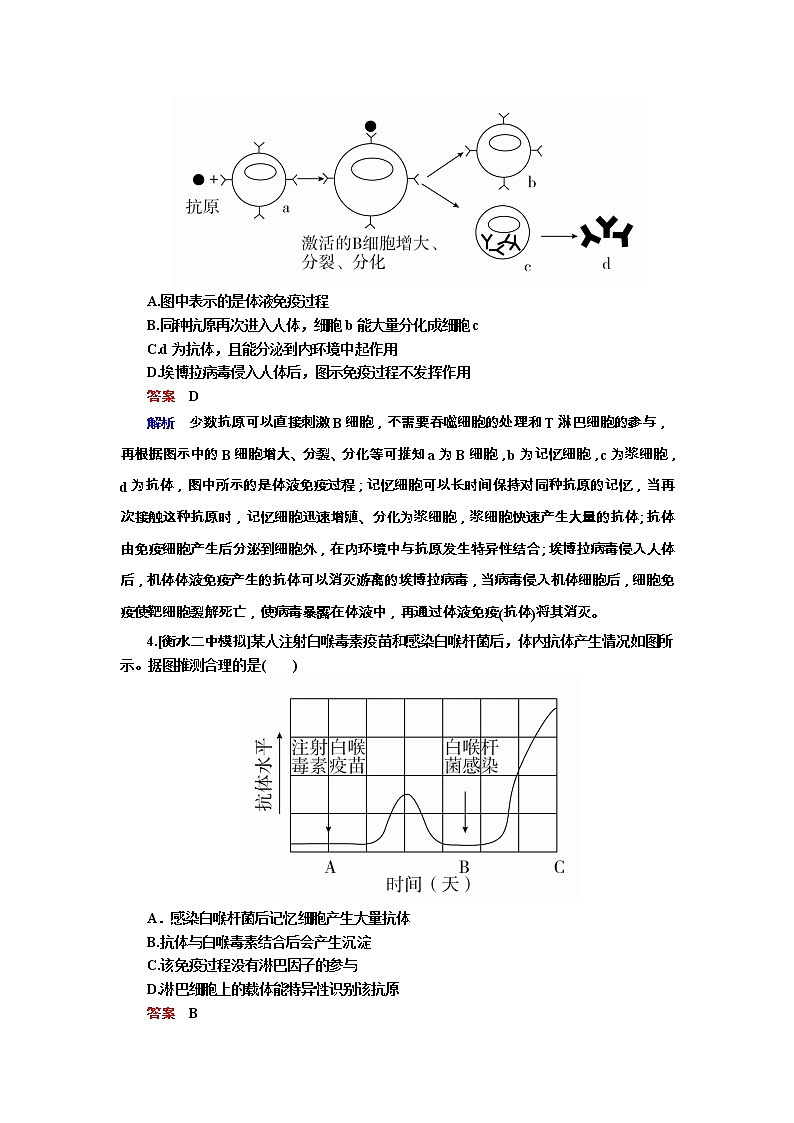 高考生物一轮复习专题训练:专题20《免疫调节》(含详解)第2页