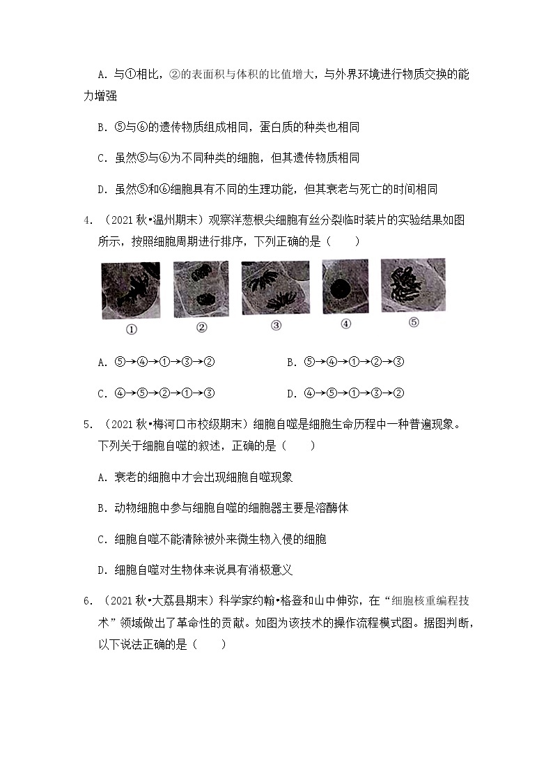 【高频单元易错题】人教版（2019）2021-2022学年高一上生物必修1第六章：细胞的生命历程（含答案解析）02