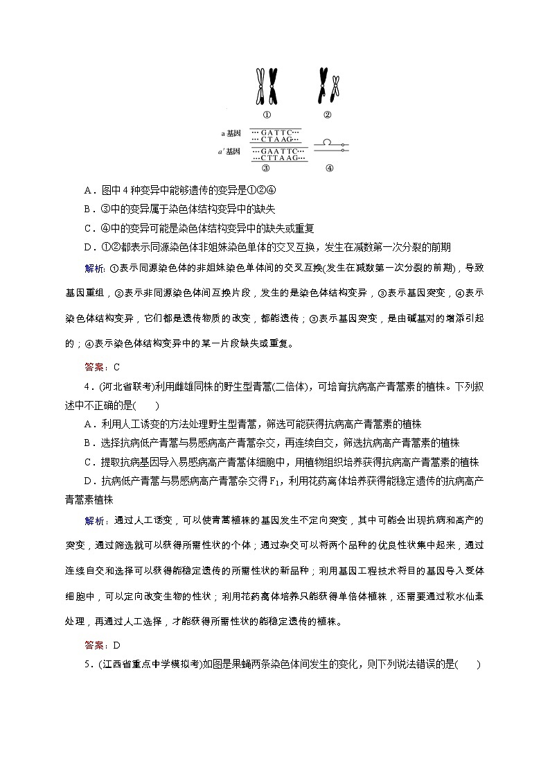 高考生物二轮专题强化训练09《变异、育种和进化》(含详解)第2页