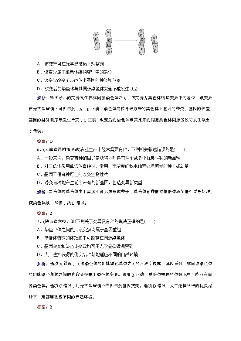 高考生物二轮专题强化训练09《变异、育种和进化》(含详解)第3页