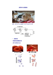 高考生物二轮专题复习学案：1基因突变和基因重组