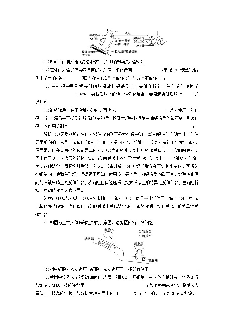 高考生物二轮复习检测12《稳态与调节类》综合大题课后强训卷 (含详解)第3页
