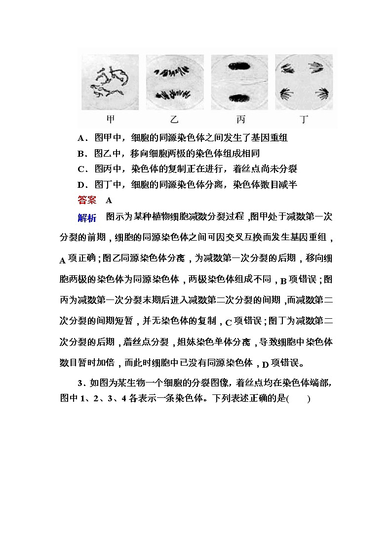 高考生物一轮对点训练:9-1 减数分裂与受精作用 b Word版含解析第2页