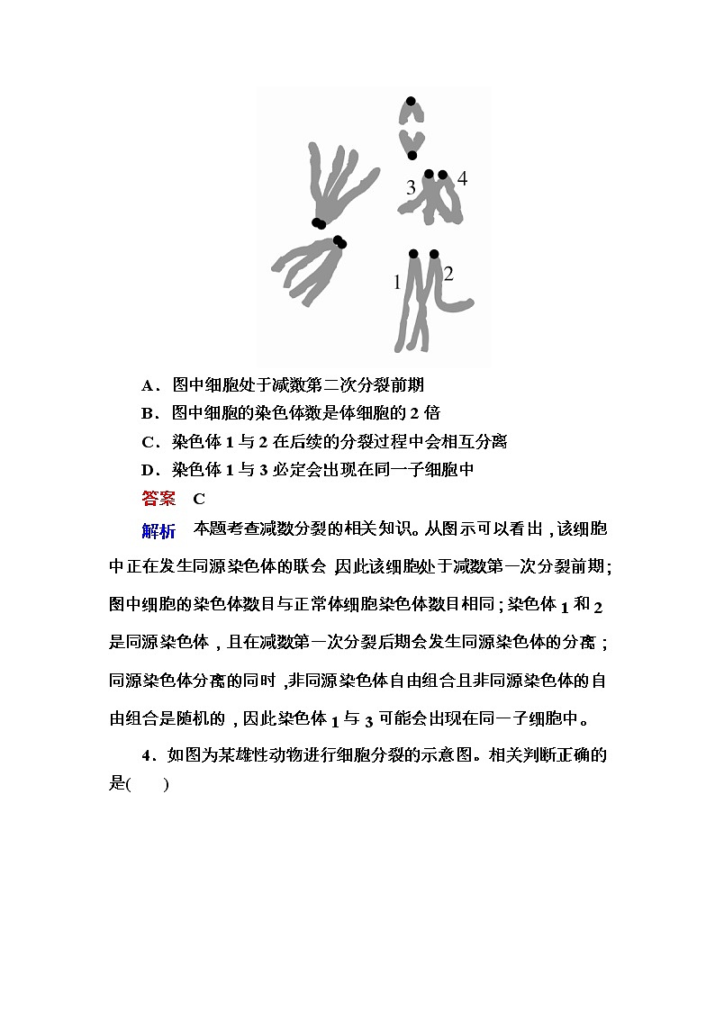 高考生物一轮对点训练:9-1 减数分裂与受精作用 b Word版含解析第3页