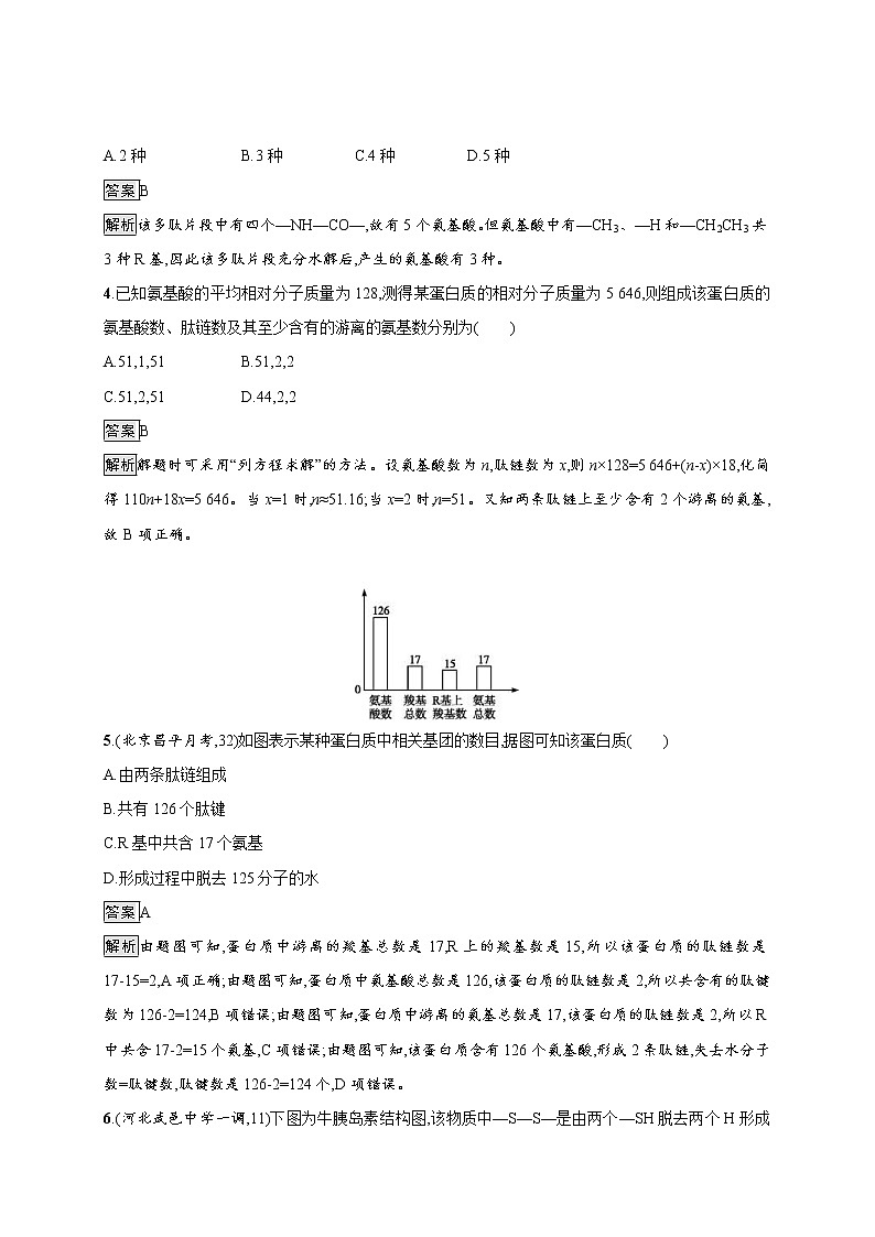 高考生物一轮复习考点规范练02《生命活动的主要承担者--蛋白质》(含详解)第2页