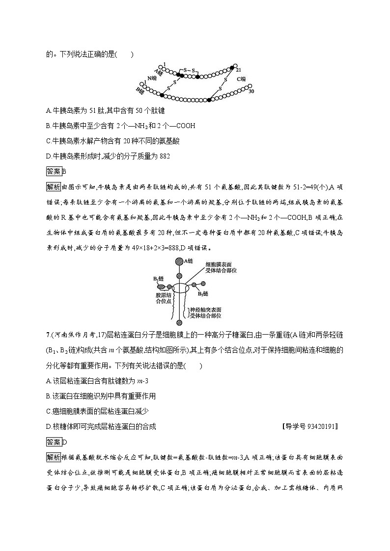 高考生物一轮复习考点规范练02《生命活动的主要承担者--蛋白质》(含详解)第3页