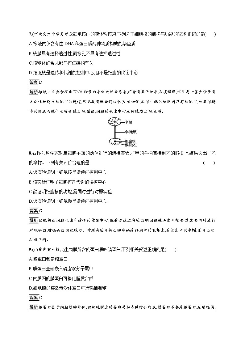 高考生物一轮复习考点规范练04《细胞膜和细胞核(含生物膜的流动镶嵌模型)》(含详解)第3页