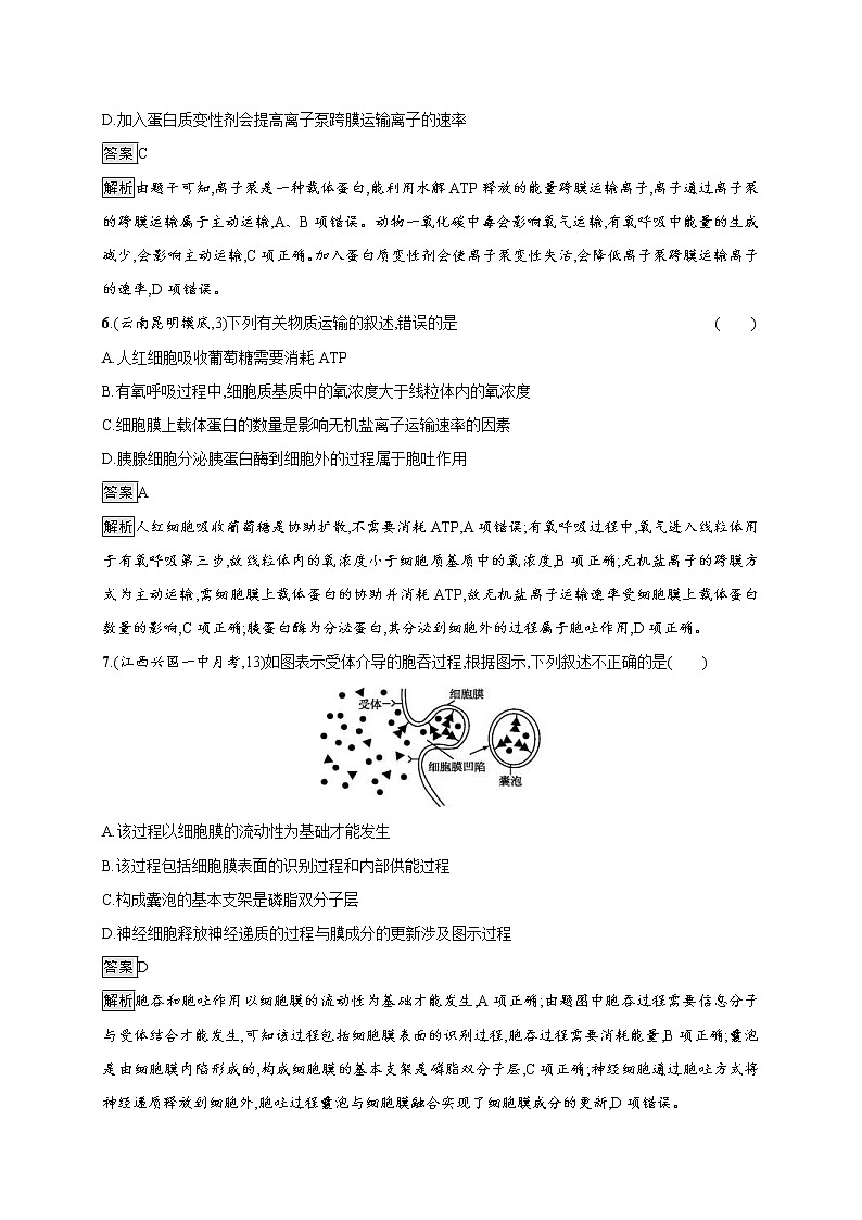 高考生物一轮复习考点规范练06《物质跨膜运输的实例 物质跨膜运输的方式》(含详解)第3页