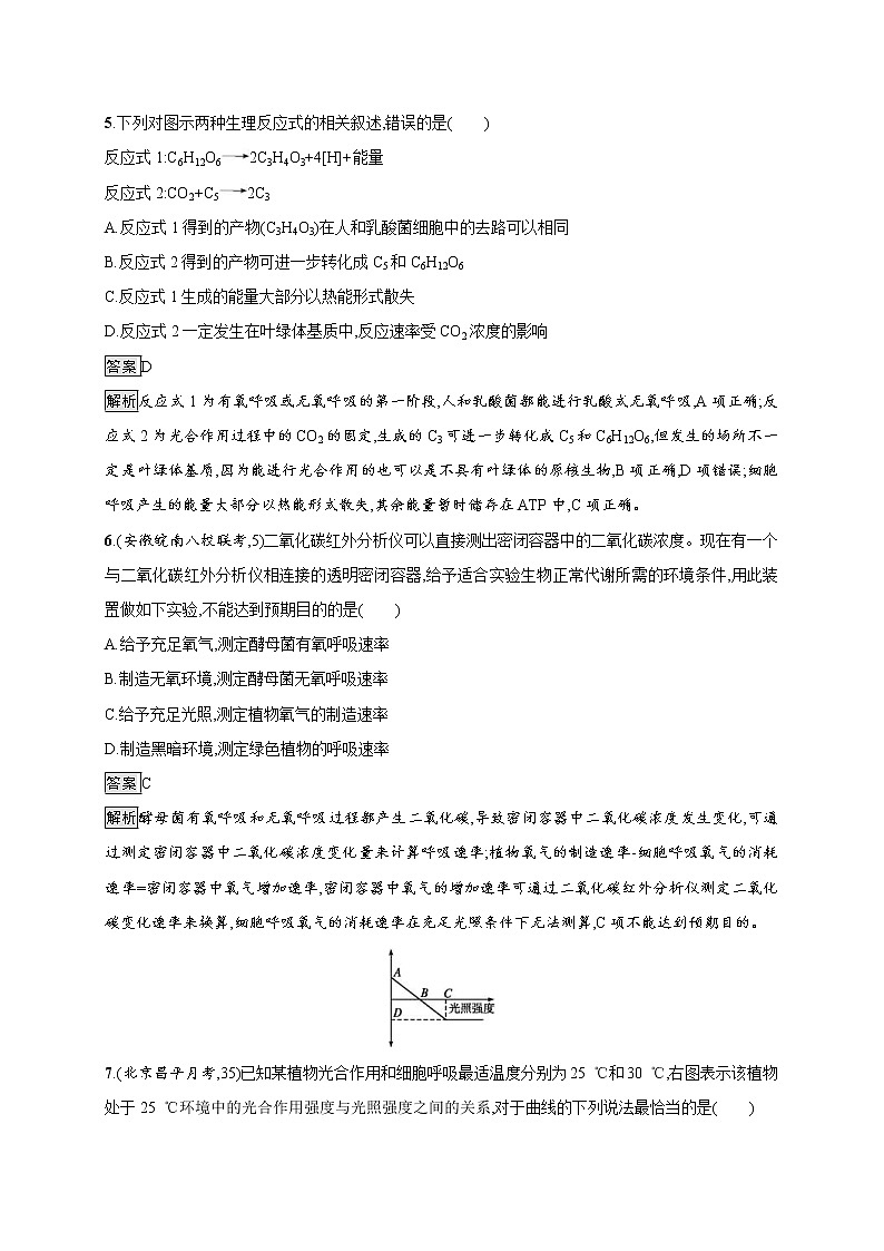 高考生物一轮复习考点规范练10《影响光合作用的因素及应用》(含详解)03