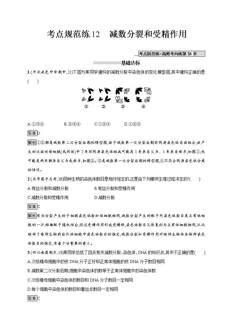高考生物一輪復(fù)習考點規(guī)范練12《減數(shù)分裂和受精作用》（含詳解）第1頁
