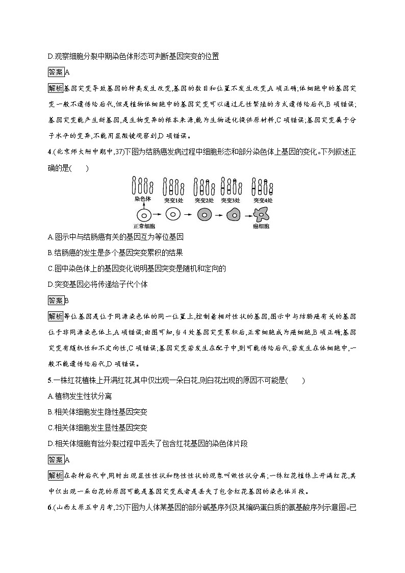 高考生物一轮复习考点规范练21《基因突变和基因重组》(含详解)第2页