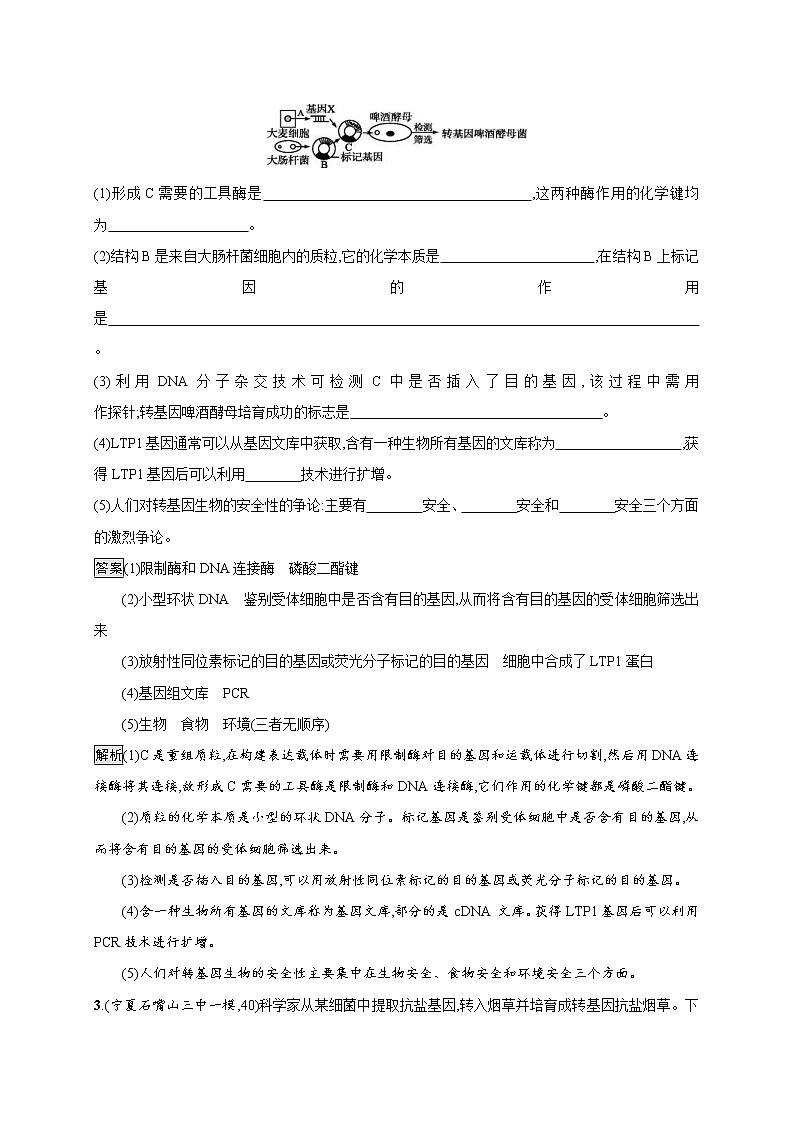 高考生物一轮复习考点规范练34《基因工程》(含详解)02