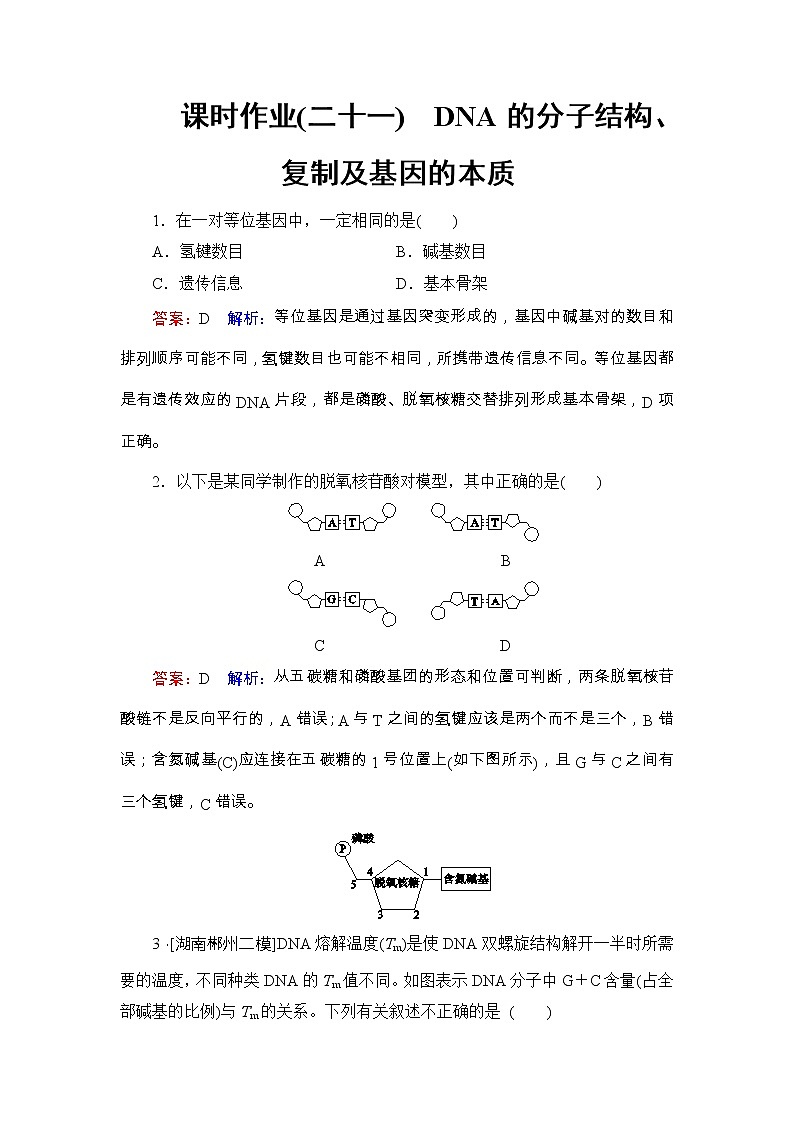 高考生物一轮复习课时作业21《DNA的分子结构、复制及基因的本质》(含详解) 练习01