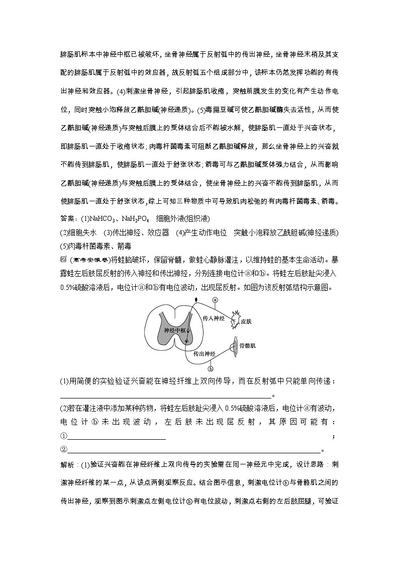 高考生物一轮复习方案练习:第8单元 随堂真题演练加强提升课(五)兴奋测定中的电流表指针偏转及探究实验分析 (含详解)第2页