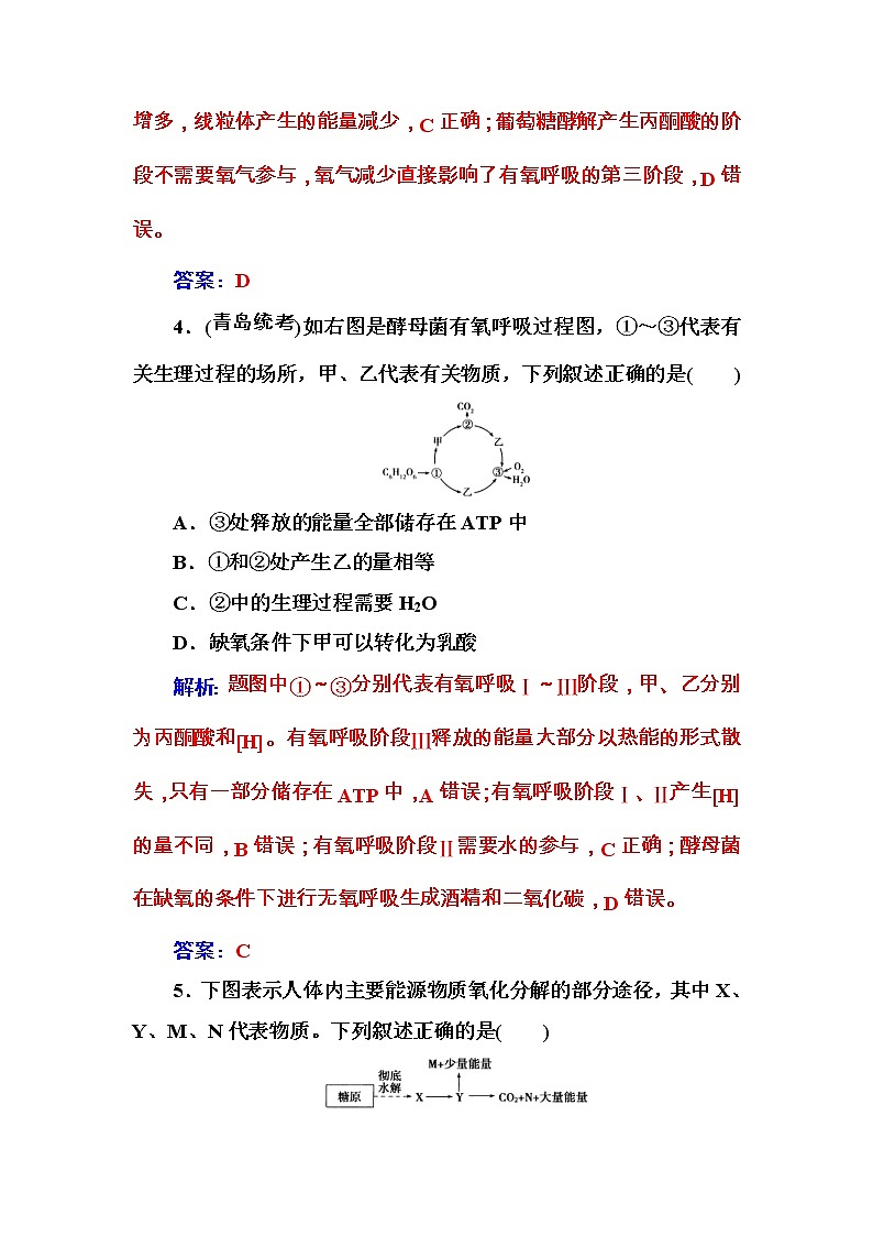 高考生物一轮复习练习:3.2课时跟踪练《细胞呼吸》(含详解)03