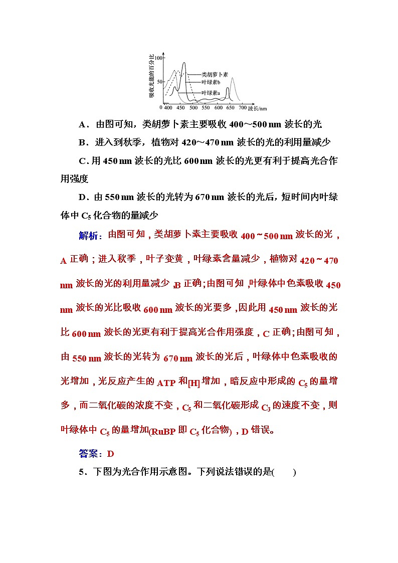 高考生物一轮复习练习:3.3课时跟踪练《光合作用(Ⅰ)》(含详解)第3页