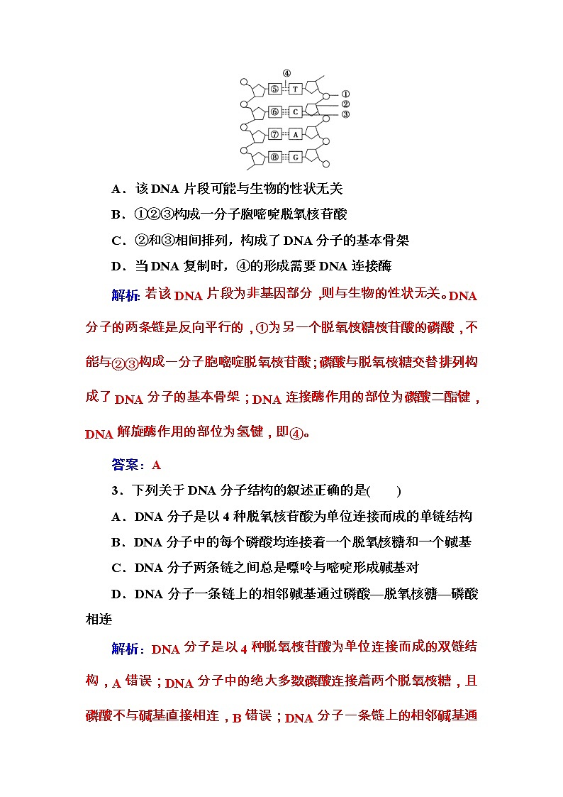 高考生物一轮复习练习:6.2课时跟踪练《DNA分子的结构、复制和基因的本质》(含详解)第2页