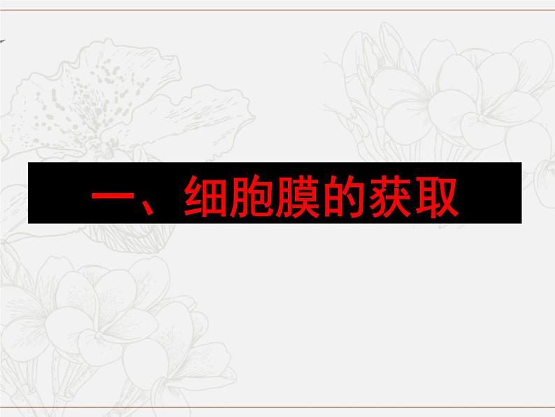 必修1 第3章 第1节 细胞膜的结构和功能课件PPT第5页