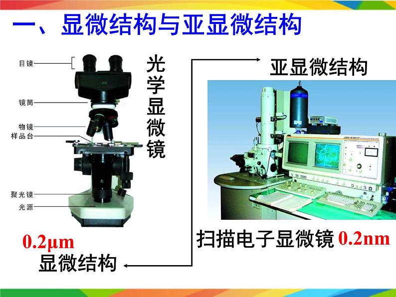 必修1 第3章 第2节细胞器之间的分工合作课件PPT第2页