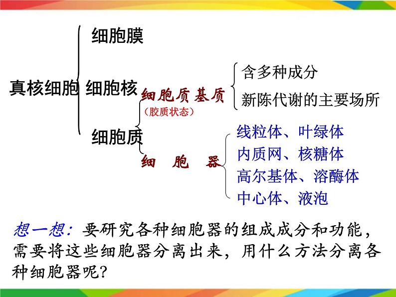 必修1 第3章 第2节细胞器之间的分工合作课件PPT第4页