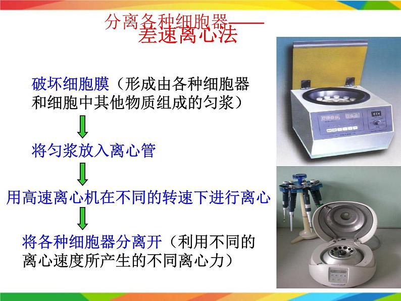 必修1 第3章 第2节细胞器之间的分工合作课件PPT第5页