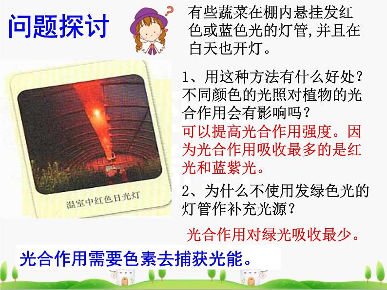 必修1 第5章 第4节 光合作用的原理和应用课件PPT第2页
