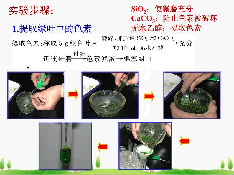 必修1 第5章 第4节 光合作用的原理和应用课件PPT第4页