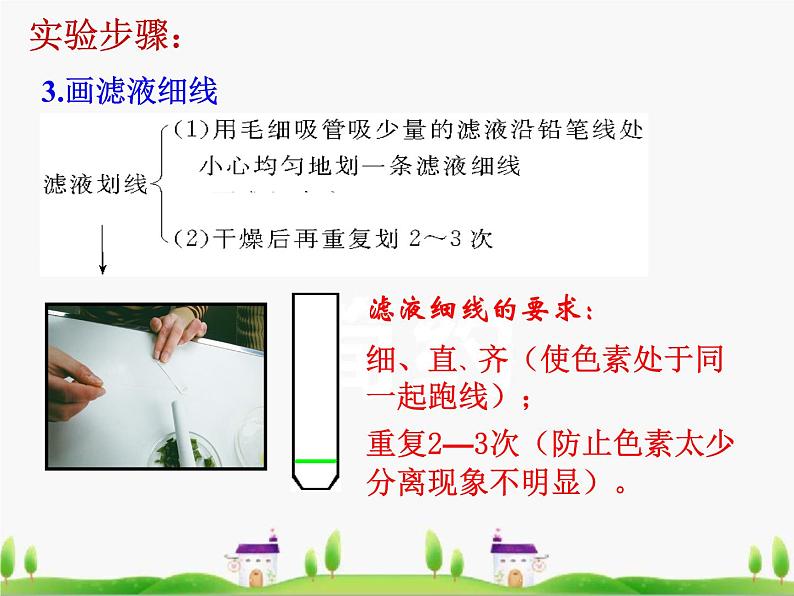 必修1 第5章 第4节 光合作用的原理和应用课件PPT第6页