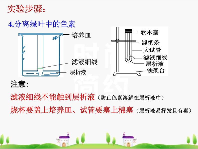 必修1 第5章 第4节 光合作用的原理和应用课件PPT第7页