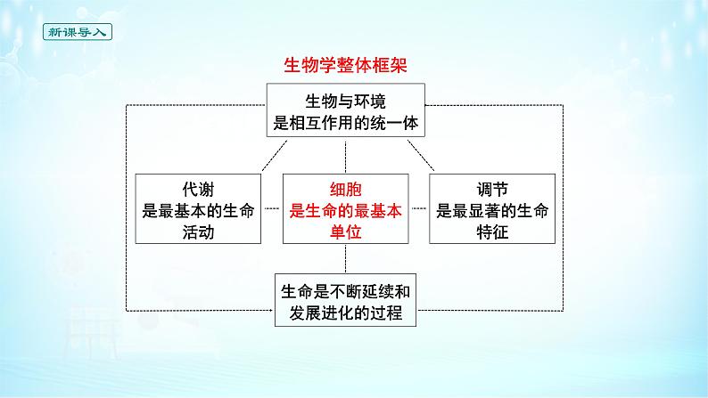 《第1节 细胞是生命活动的基本单位》PPT06