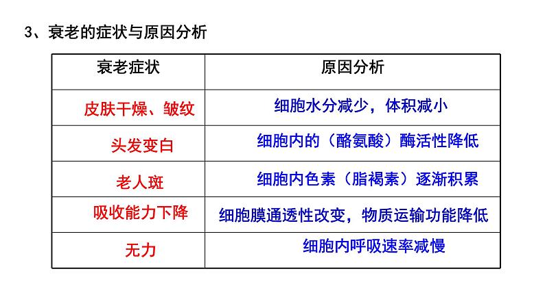 6.3 细胞的衰老和死亡课件(15张PPT)04