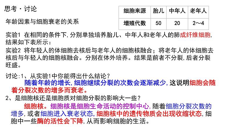 6.3 细胞的衰老和死亡课件(15张PPT)07