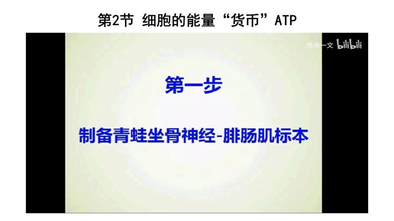 5.2细胞的能量“货币”ATP课件（16张PPT）02