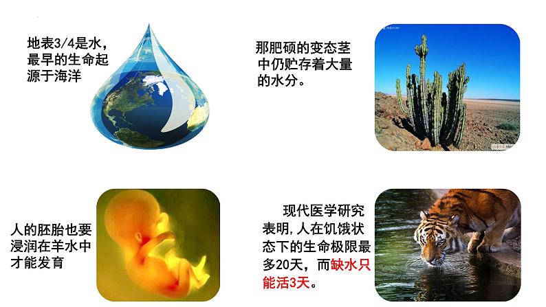 2.2细胞中的无机物课件(28张PPT)第4页